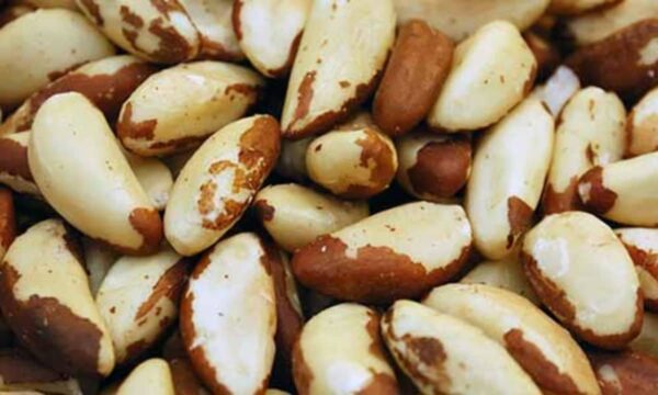 brazil-nuts